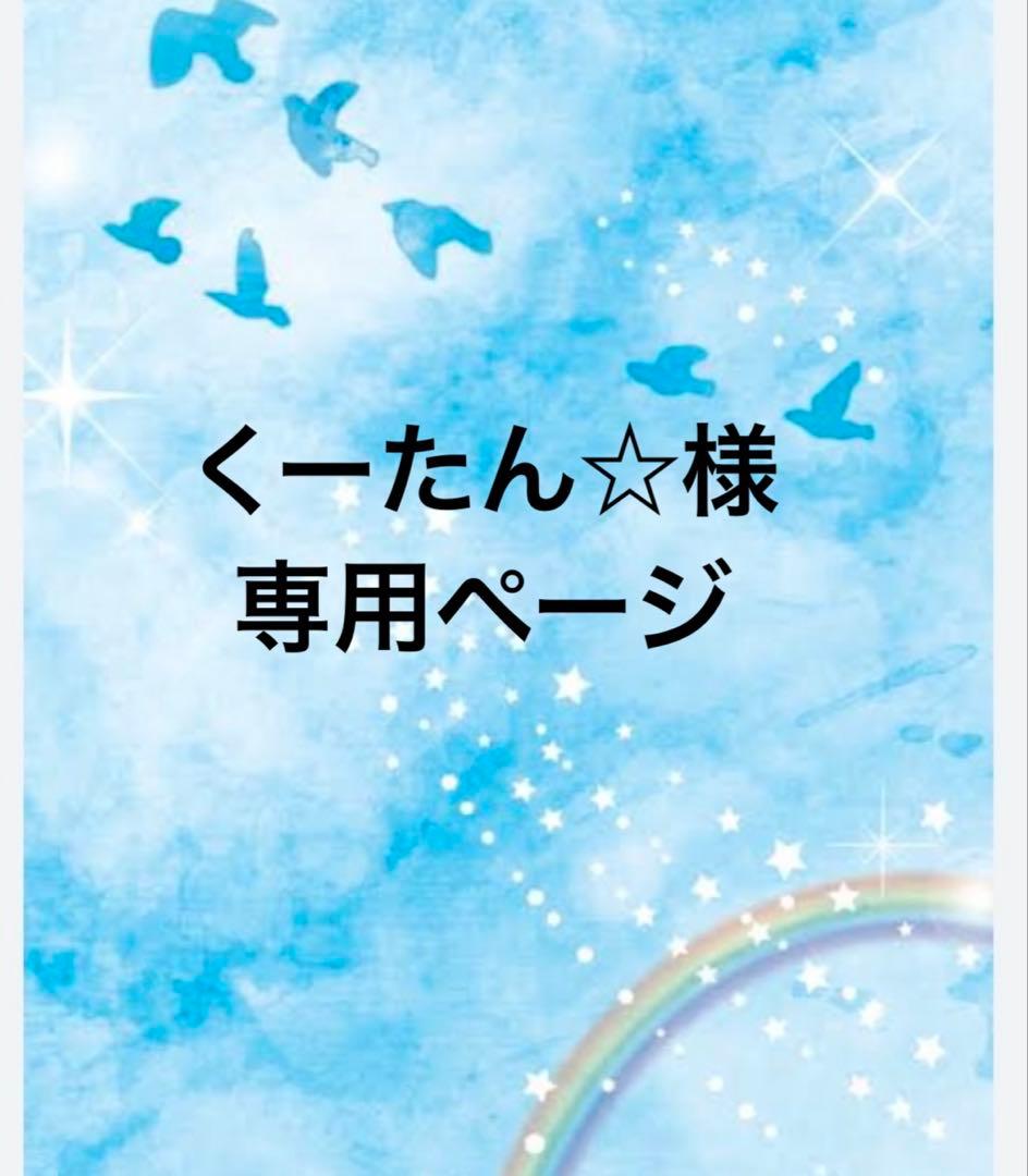 くーたん☆様 給食セット ランチョンマット ナフキン 給食袋 巾着袋 コップ袋