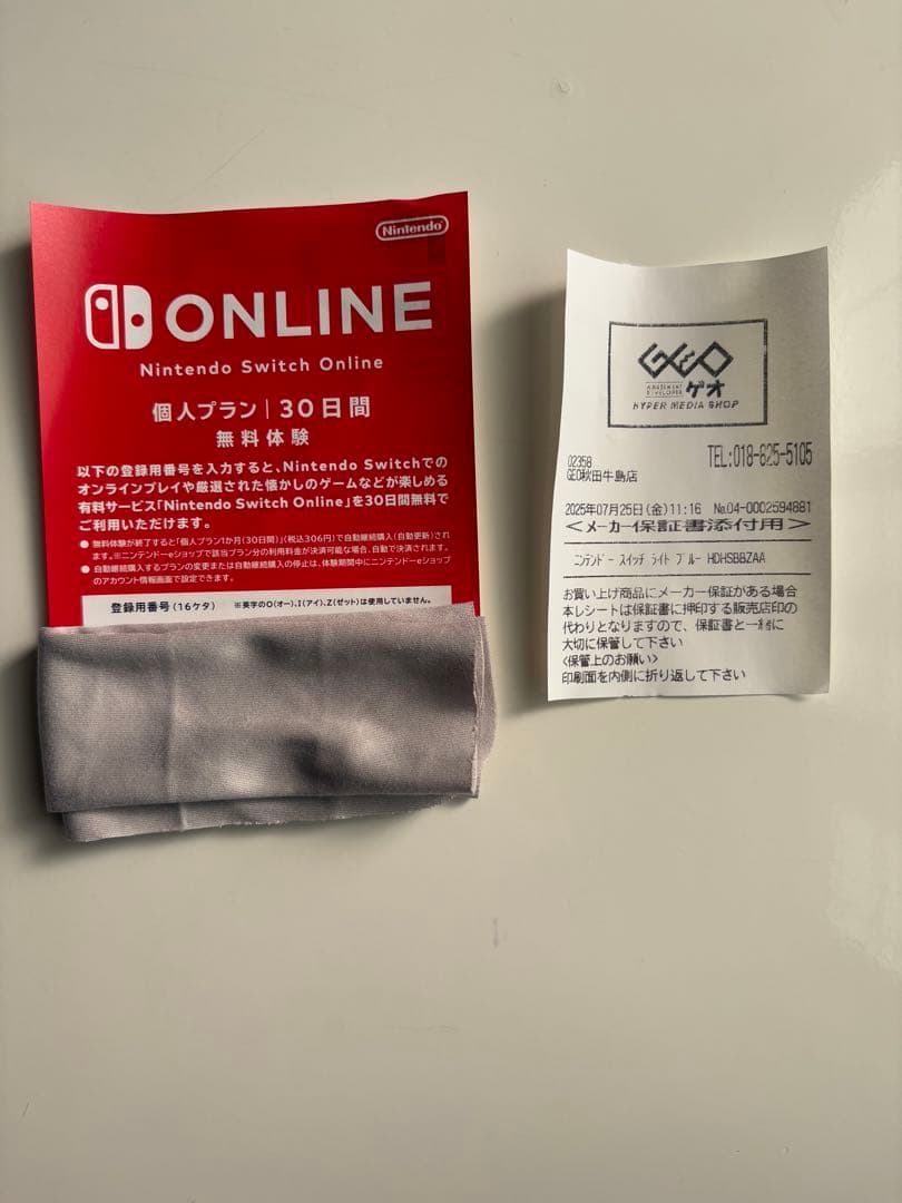 [美品]Nintendo Switch Lite 青 ケース付き