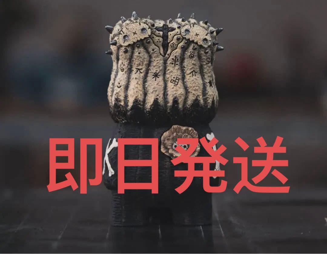 羅本製所 Copiapoa Twin Star 抽選限定品　新品未開封