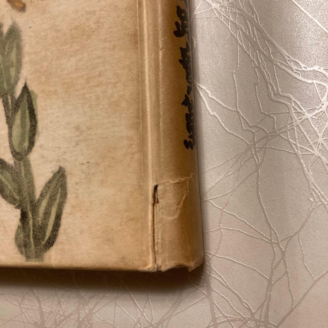 【古書】文學に志す人に　武者小路實篤