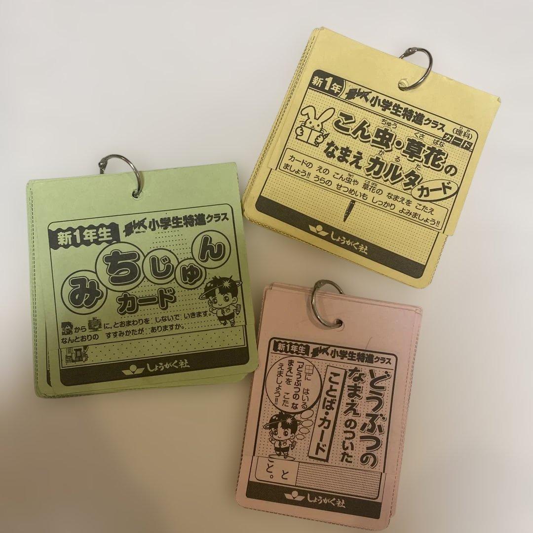 京都教育大学附属小中学校入試問題集＆小学校入学集中準備&1年生夏期講習