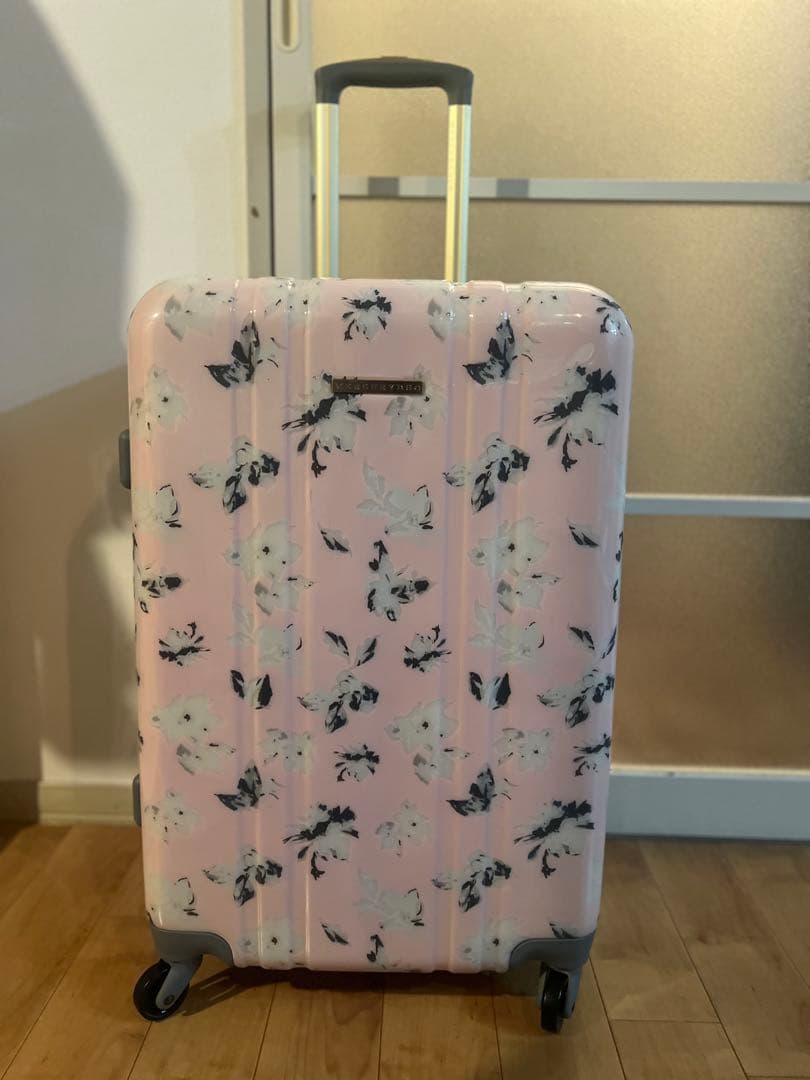 マーキュリーデュオのキャリーケース 66L