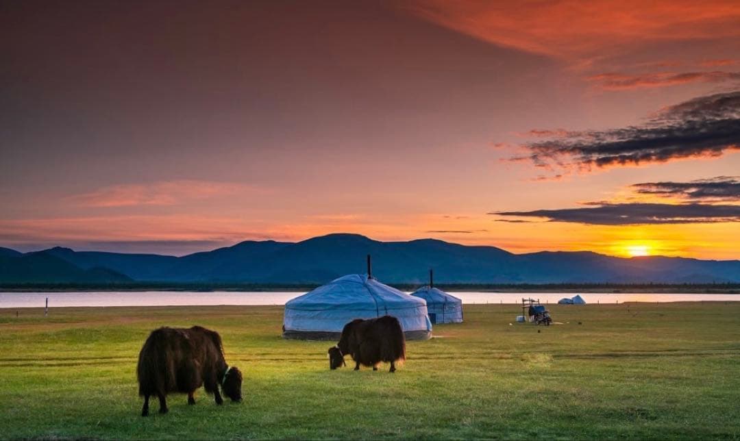 ヤクウール(ヤクダウン)100% ハンドウォーマー オーガニック　ブラウン色2点