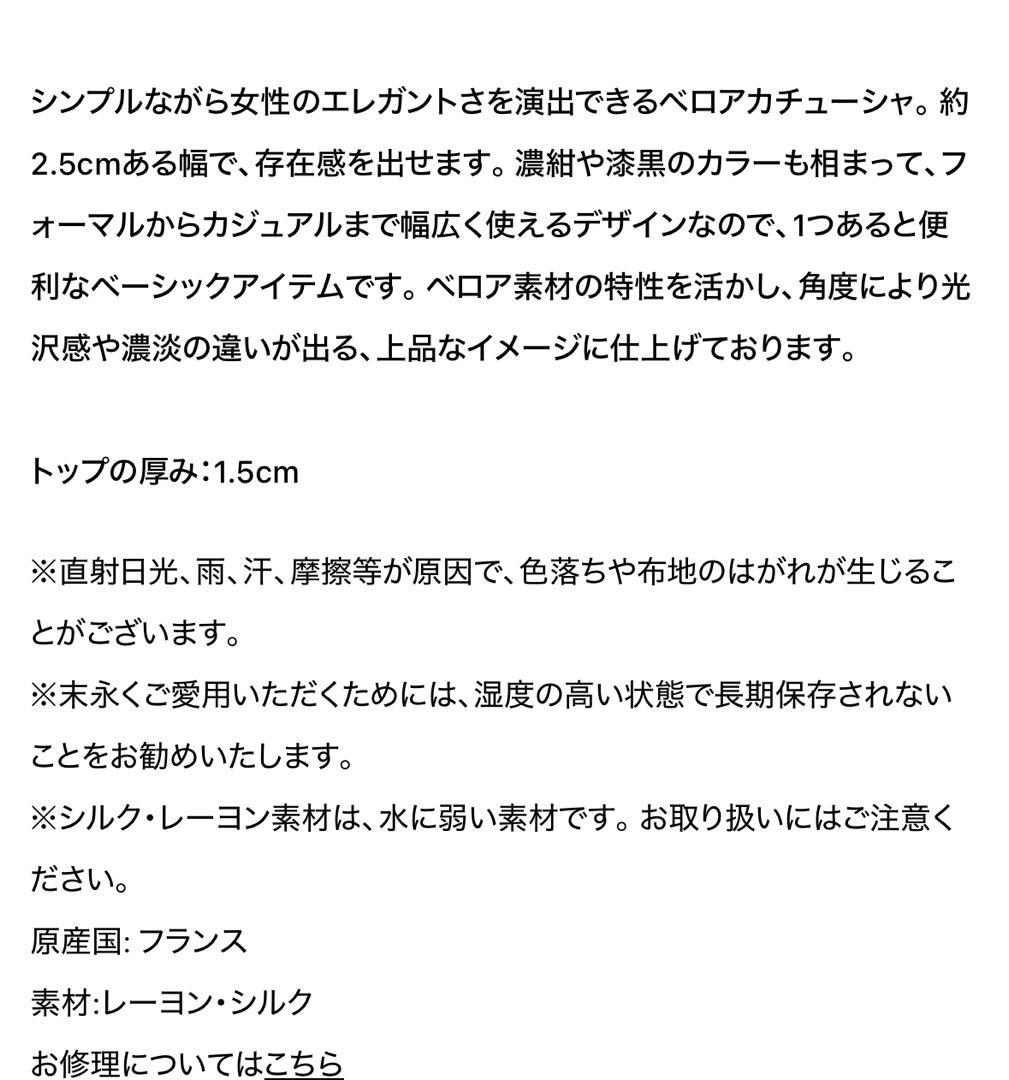 【ALEXANDRE DE PARIS】カチューシャ 2.5 cm 保存袋付き