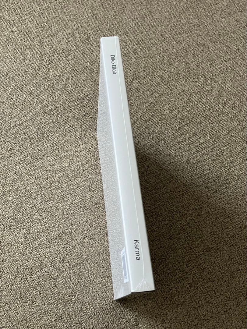 Dike Blair 作品集 新品未開封