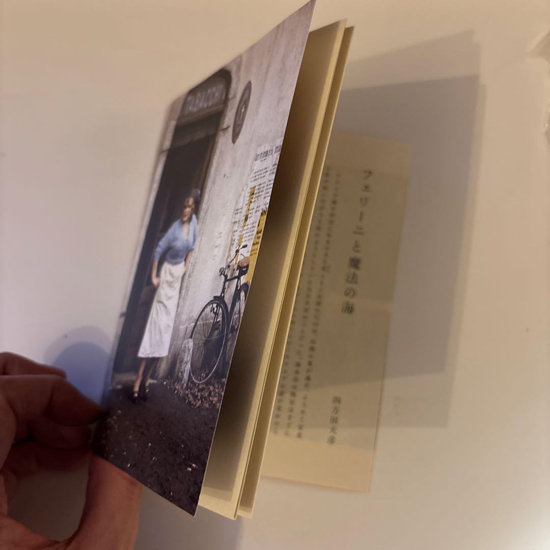 フェリーニのアマルコルド 4K修復版('73伊/仏)BD