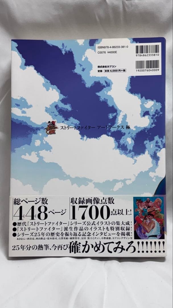 [美品] ストリートファイター アートワークス極