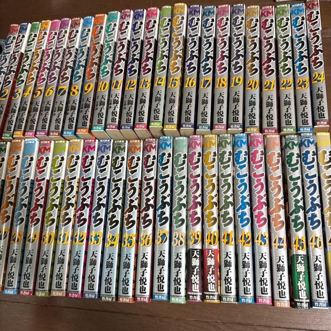 むこうぶち 1-48 セット