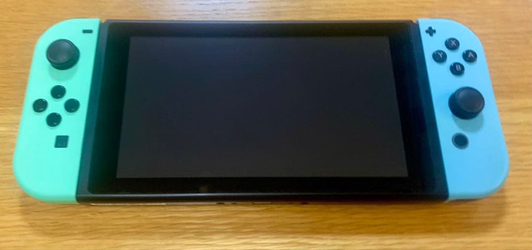 Nintendo Switch あつまれ どうぶつの森セット＋キャリングケース