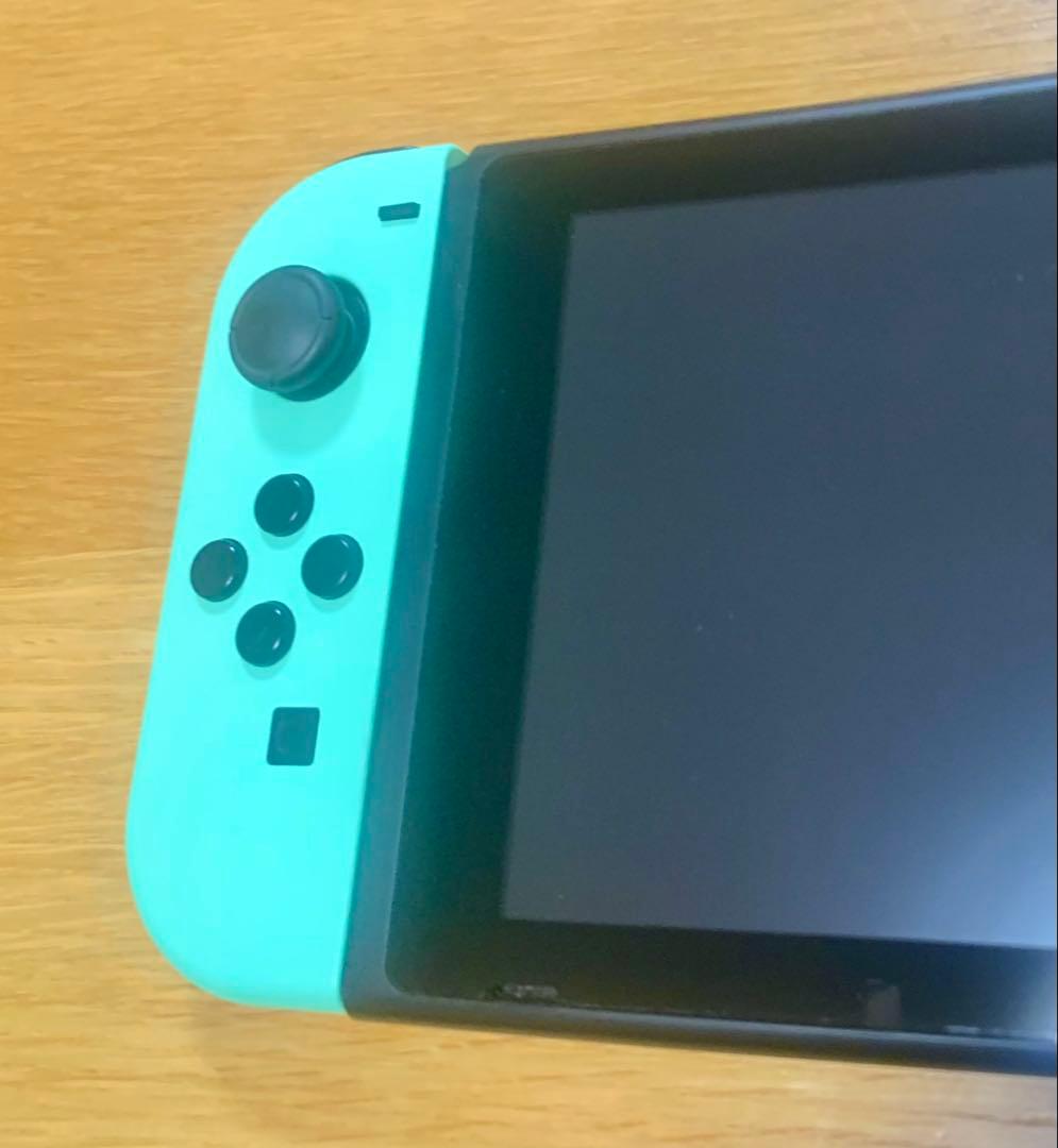 Nintendo Switch あつまれ どうぶつの森セット＋キャリングケース