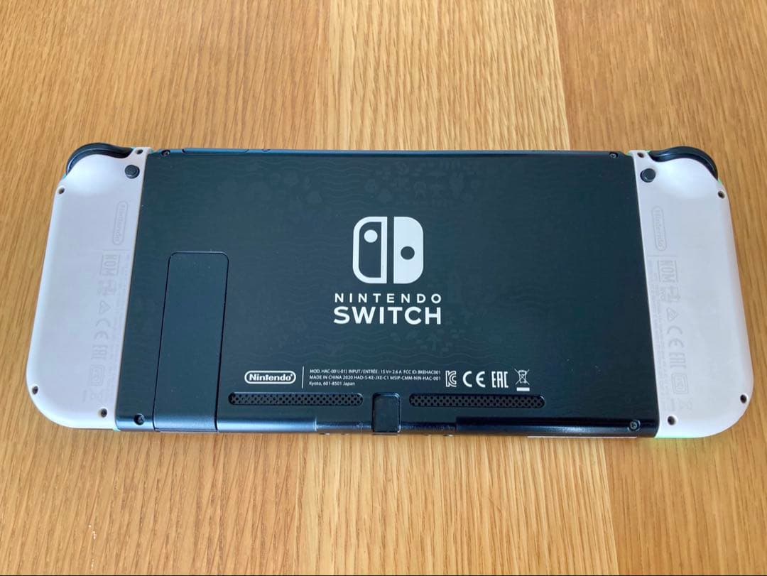 Nintendo Switch あつまれ どうぶつの森セット＋キャリングケース