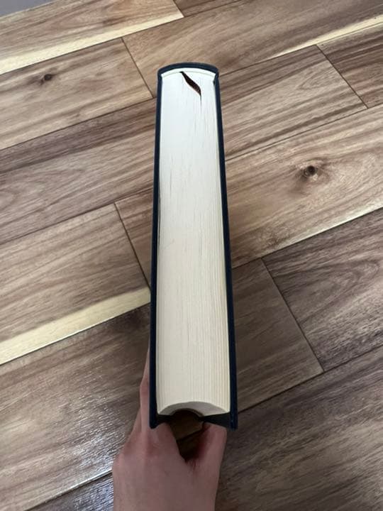 清代中国の法と裁判