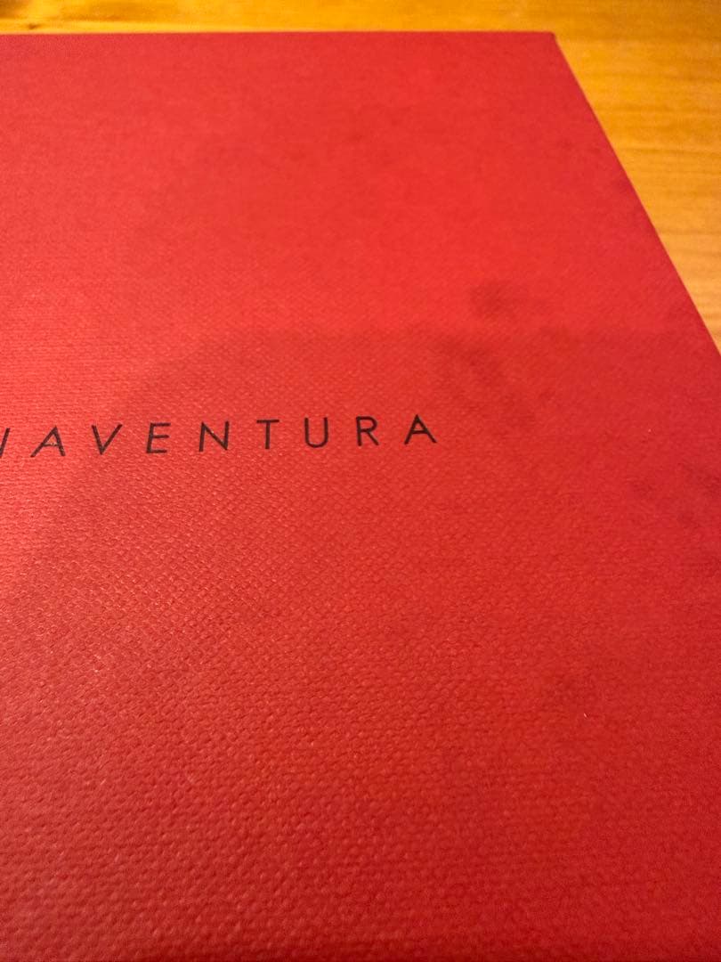 【週末限定お値引】ボナベンチュラ iPhone16pro ダイアリーケース