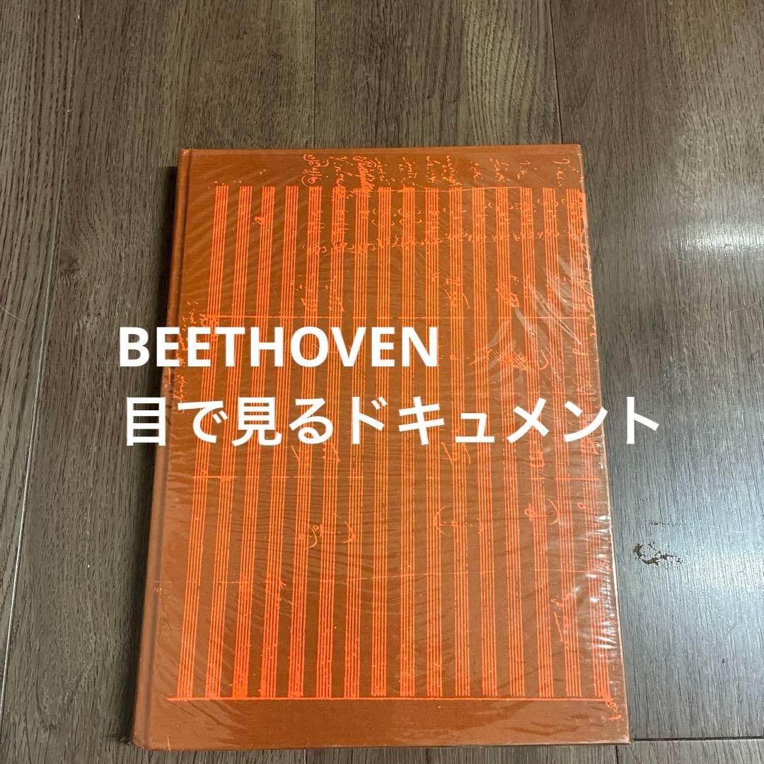 希少// BEETHOVEN/目で見るドキュメント　<音楽之友社>