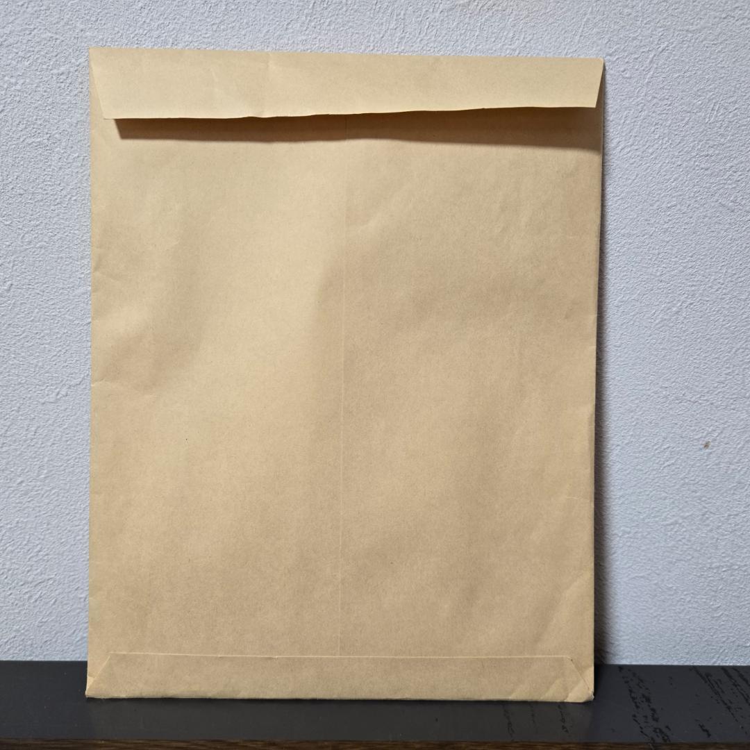 柴田聡子　たのもしいむすめ