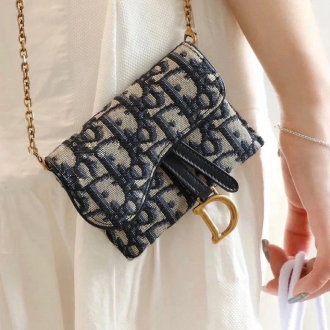 Dior ディオール サドルナノポーチ チェーンカードケース ショルダーバッグ