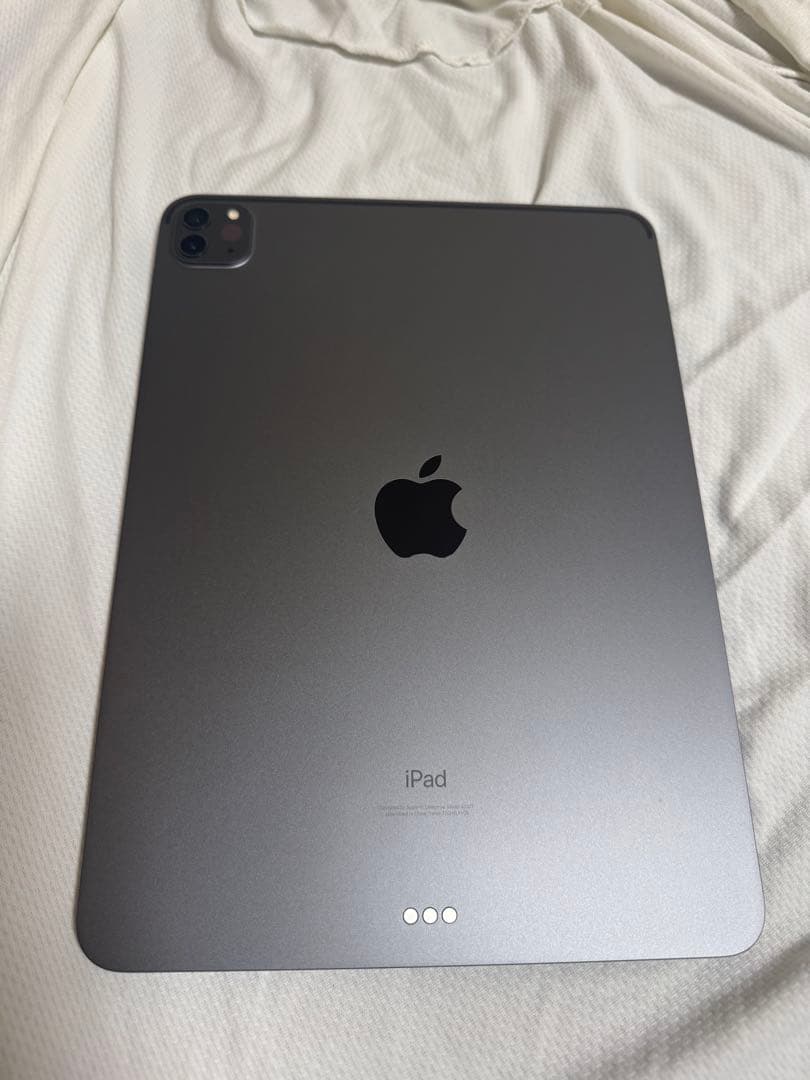 Apple 11インチiPadpro 256gb + Apple Pencil