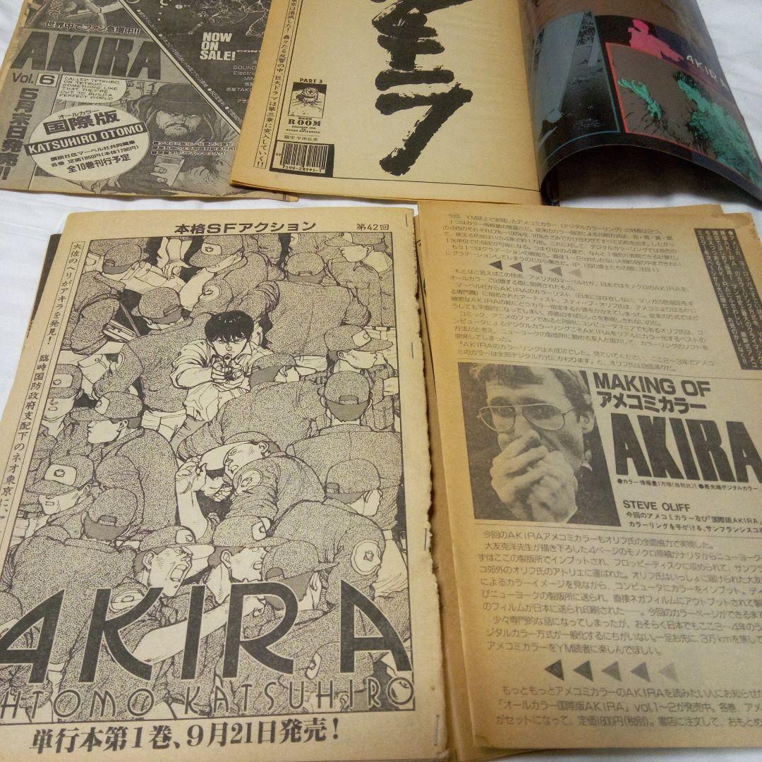 AKIRA　大友克洋　ヤングマガジン　切りぬき　～最終回　バラ　２０部