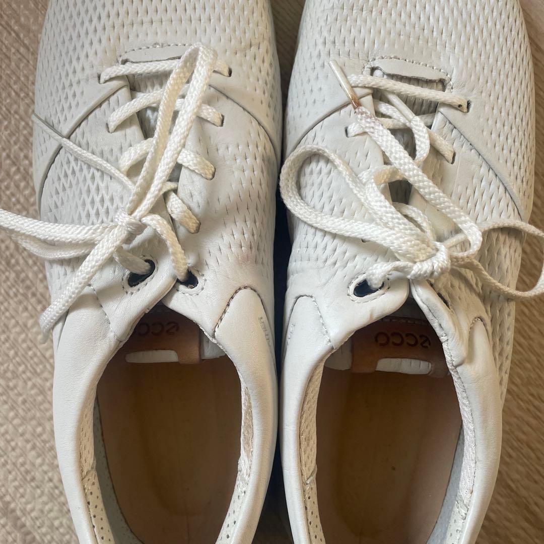 【未使用】24.5cm ECCO ゴルフシューズ ホワイト