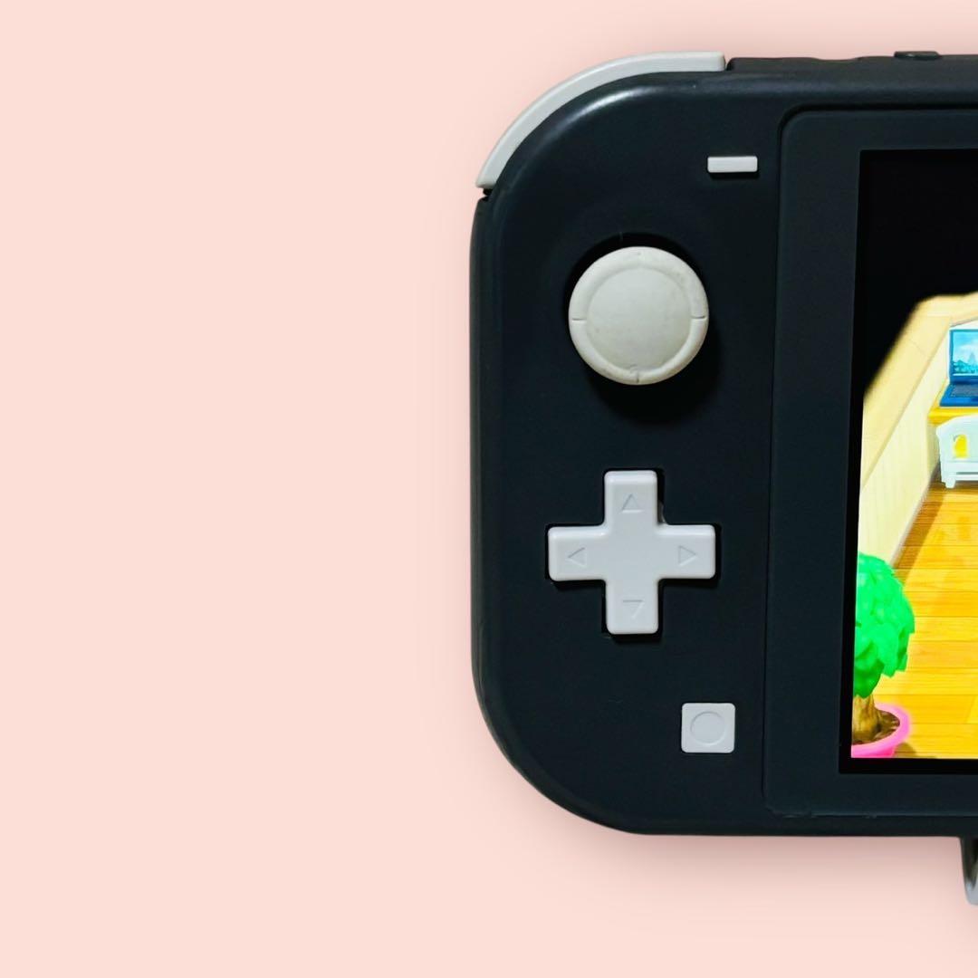 【美品】Nintendo Switch Lite グレー 本体 箱付き