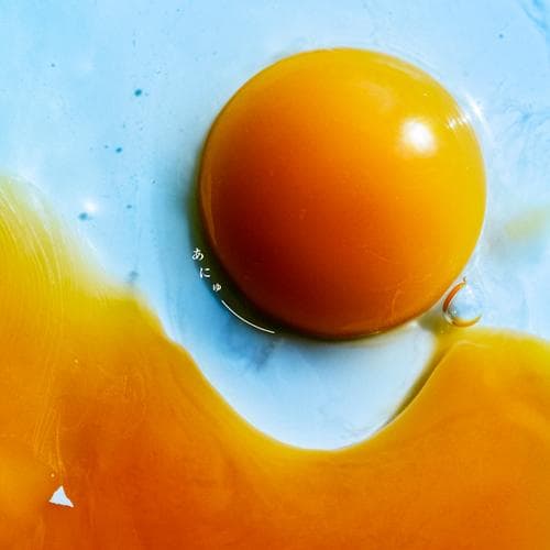 RADWIMPS あにゅー［ラリルレコード・ユニバーサルミュージック数量限定盤］