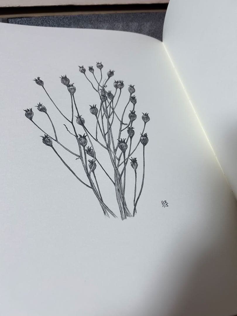 海野径　ノート　オリジナル銅版画入り