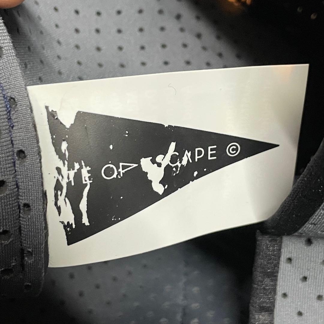 値下げ中　State of Escape FLYING SOLOトートバッグ