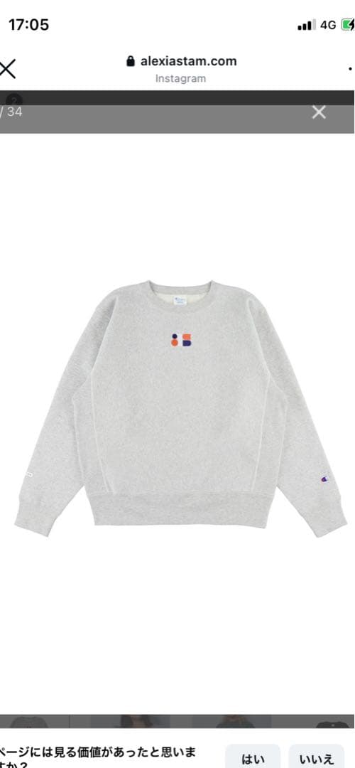 トップス champion for ALEXIA STAM Sweatshirt