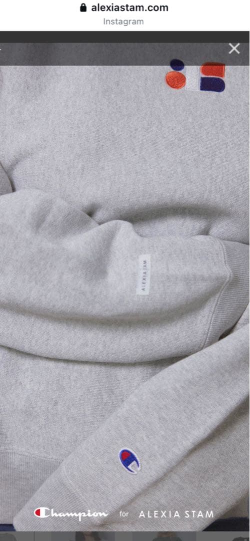 トップス champion for ALEXIA STAM Sweatshirt