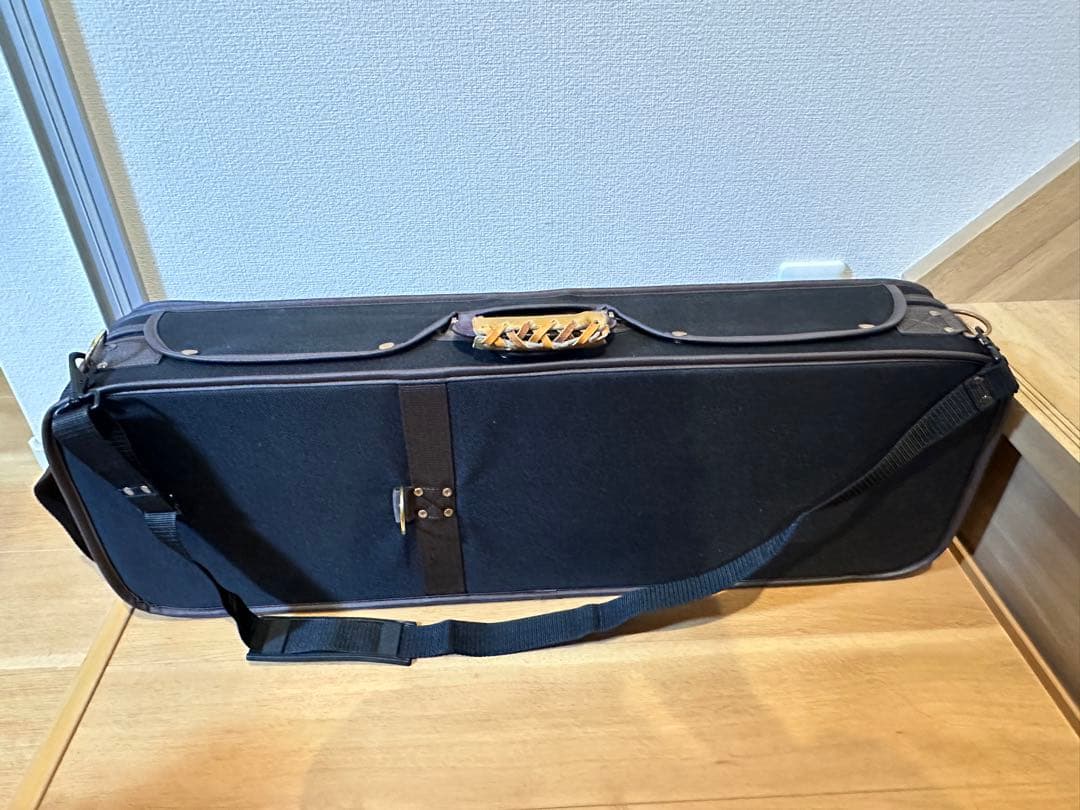 定価5万　綺麗　軽量　バイオリンケース　4/4 部活　サークル　音大　バイオリン