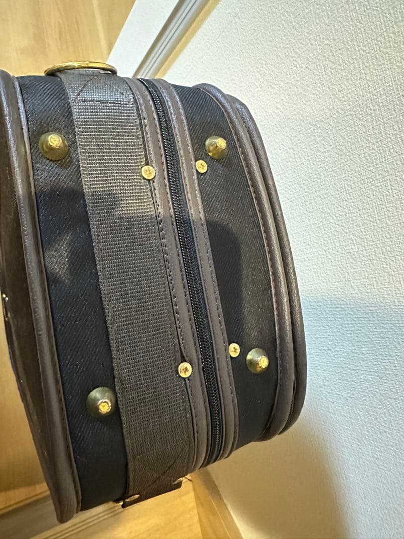 定価5万　綺麗　軽量　バイオリンケース　4/4 部活　サークル　音大　バイオリン