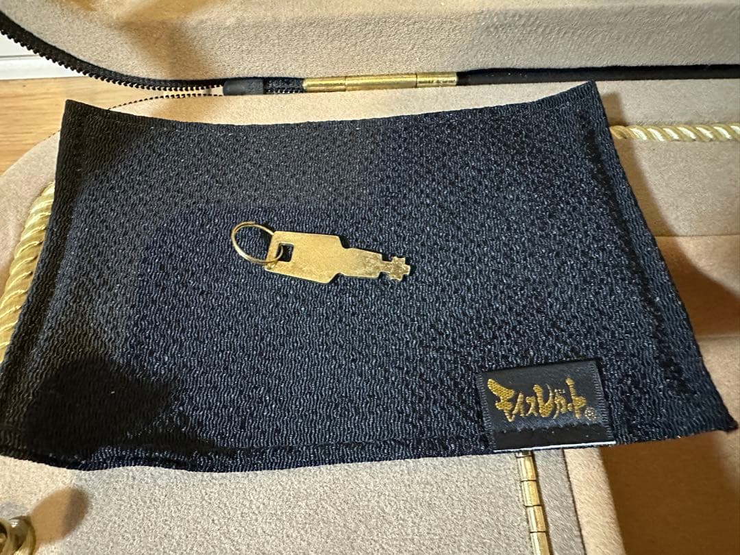 定価5万　綺麗　軽量　バイオリンケース　4/4 部活　サークル　音大　バイオリン