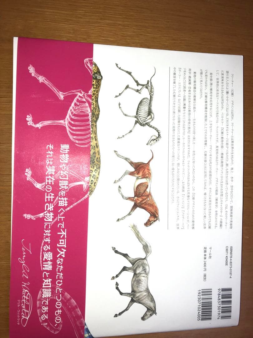 動物・幻獣デザイン、解剖学書5冊セット