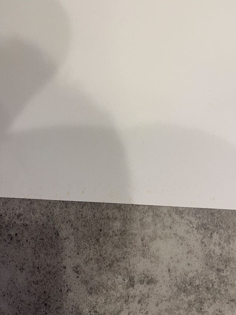 ジェフジレット「Shadow City Minnie」　額装済み　バンクシー