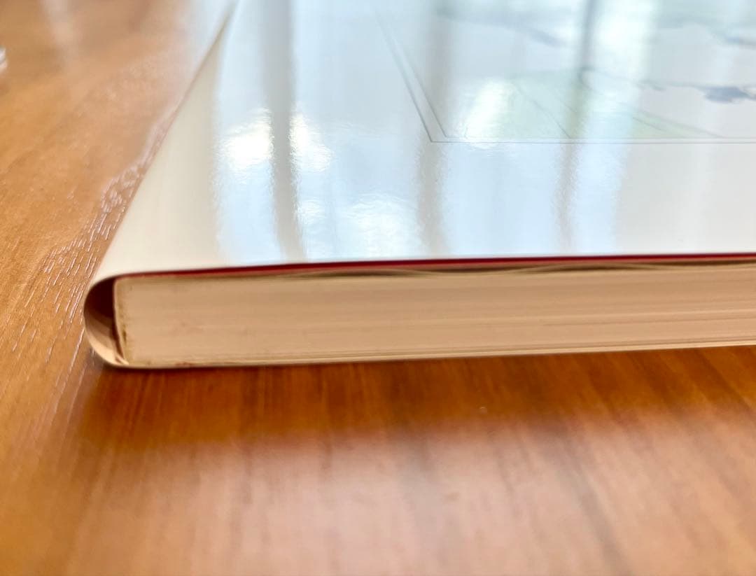 天野喜孝　美女画集　処女宮　画集　初版第1刷　帯付き　ケース付き