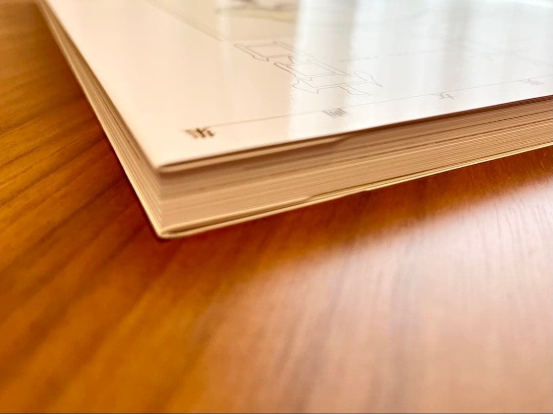 天野喜孝　美女画集　処女宮　画集　初版第1刷　帯付き　ケース付き