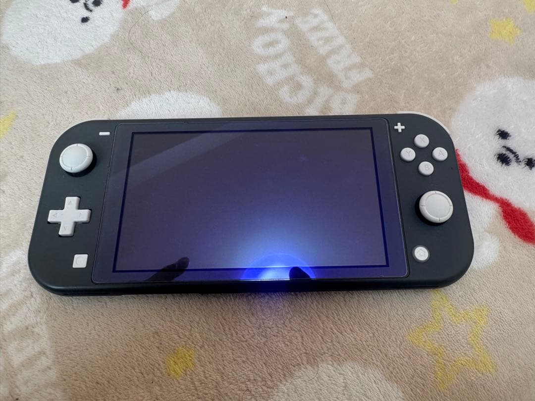 【出品最終日　最終値下】Nintendo Switch Lite グレー 本体