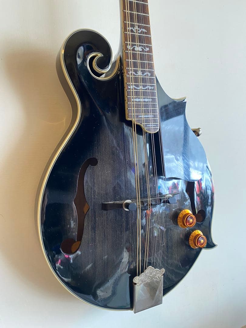 StaffordスタッフォードF-Style エレクトリック・フラットマンドリン