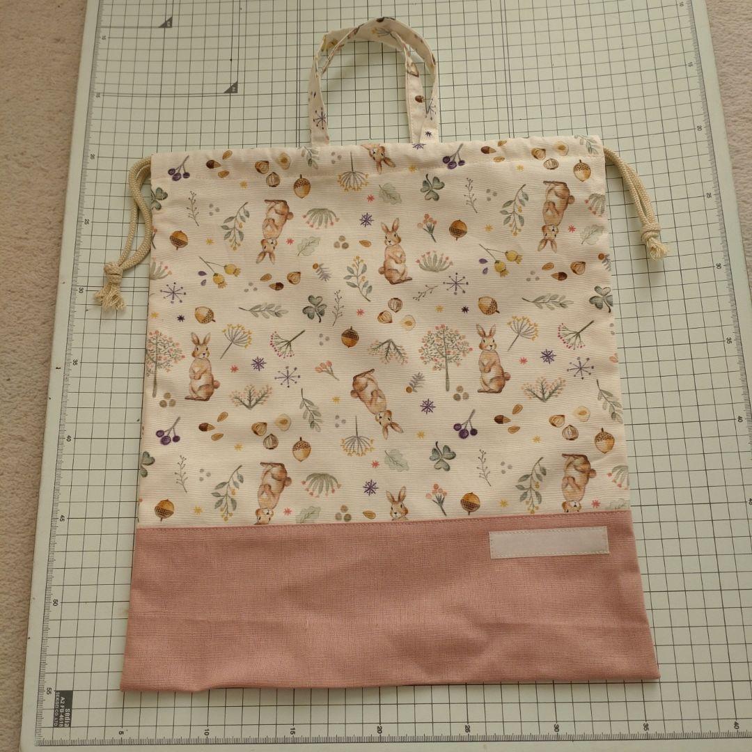 りんご　ミルキーラビット　5点