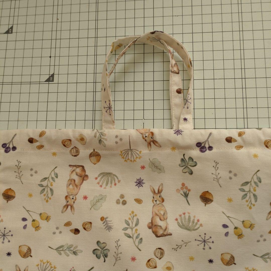 りんご　ミルキーラビット　5点