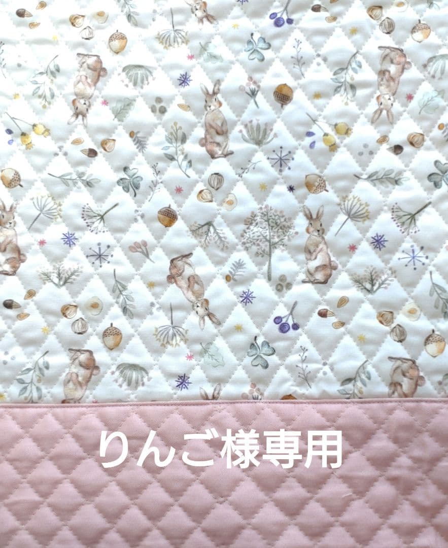 りんご　ミルキーラビット　5点