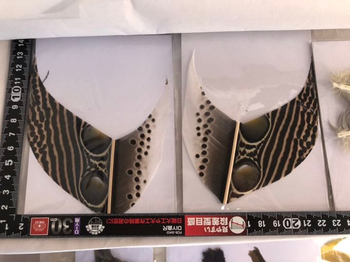 『匿名配送』フライフィッシングマテリアル　サーモンフライ、ウェットフライ特化品