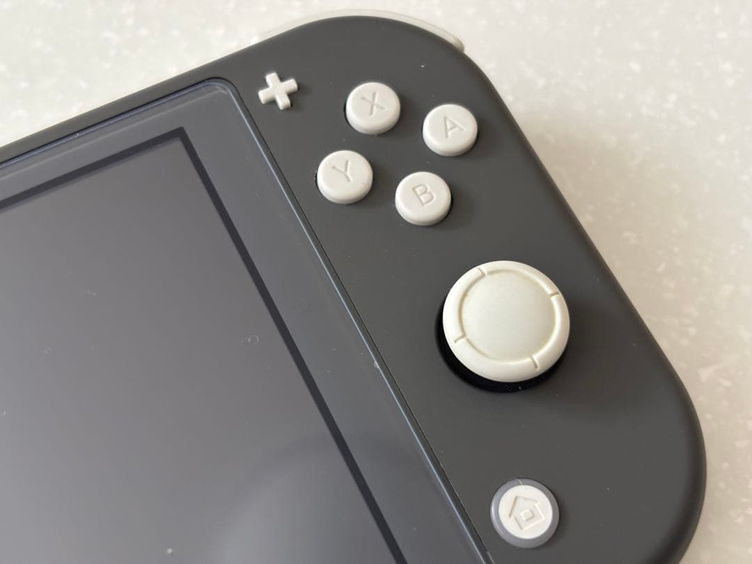 ニンテンドー Swich Lite グレー 付属品