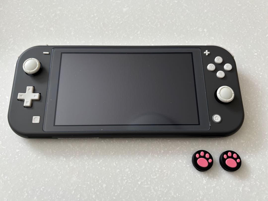 ニンテンドー Swich Lite グレー 付属品