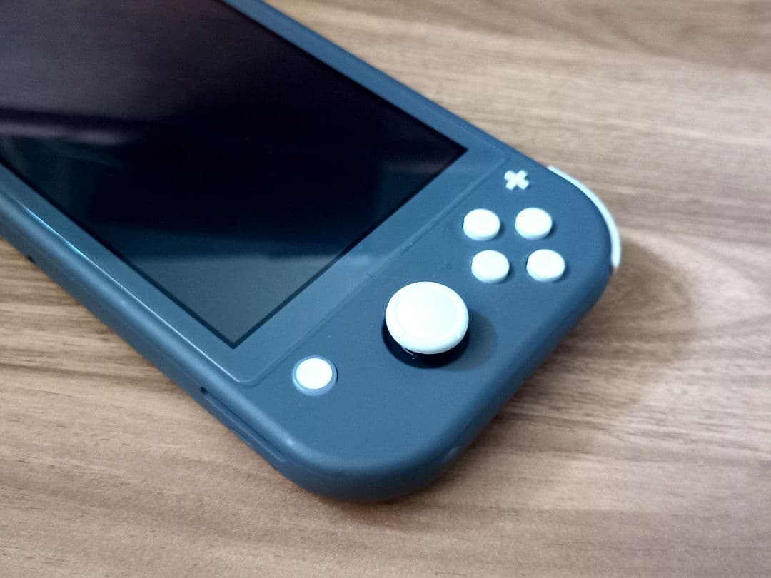 Nintendo Switch Lite グレー ケース ガラスフィルムが付き