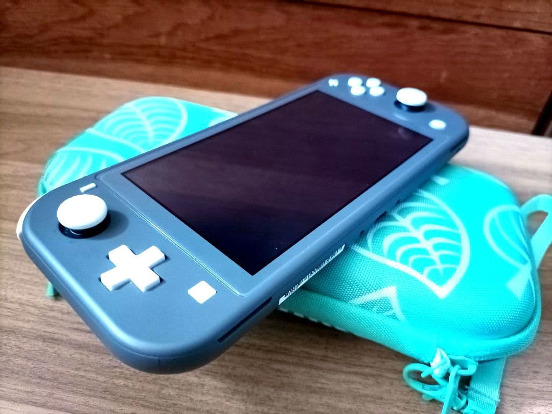 Nintendo Switch Lite グレー ケース ガラスフィルムが付き