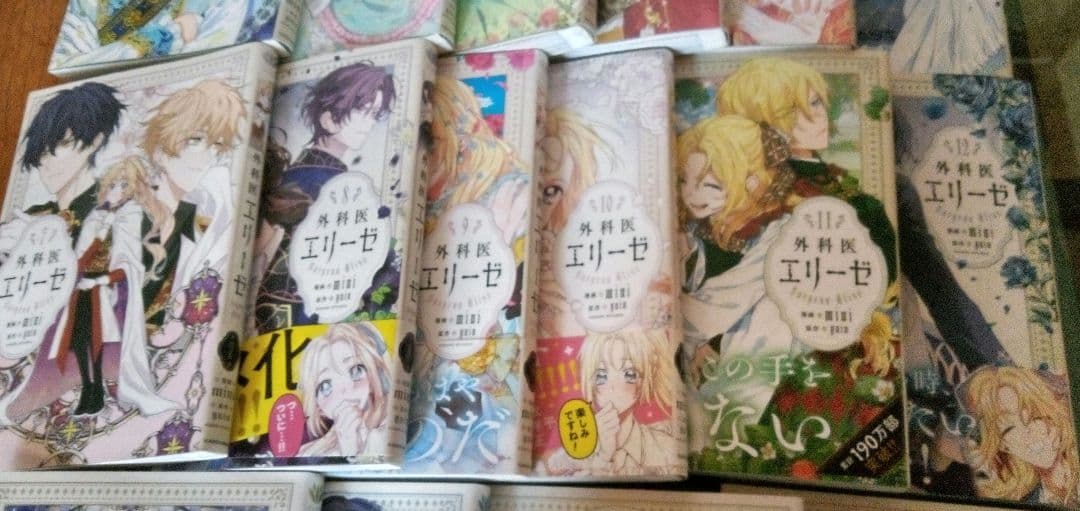 外科医エリーゼ　全14巻と外伝上下巻セット