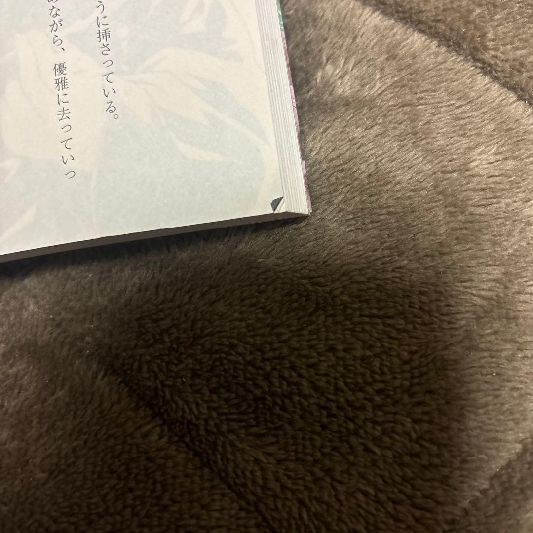 薬屋のひとりごと 全巻 1-16巻 日向夏 小説 ライトノベル おまけ付き