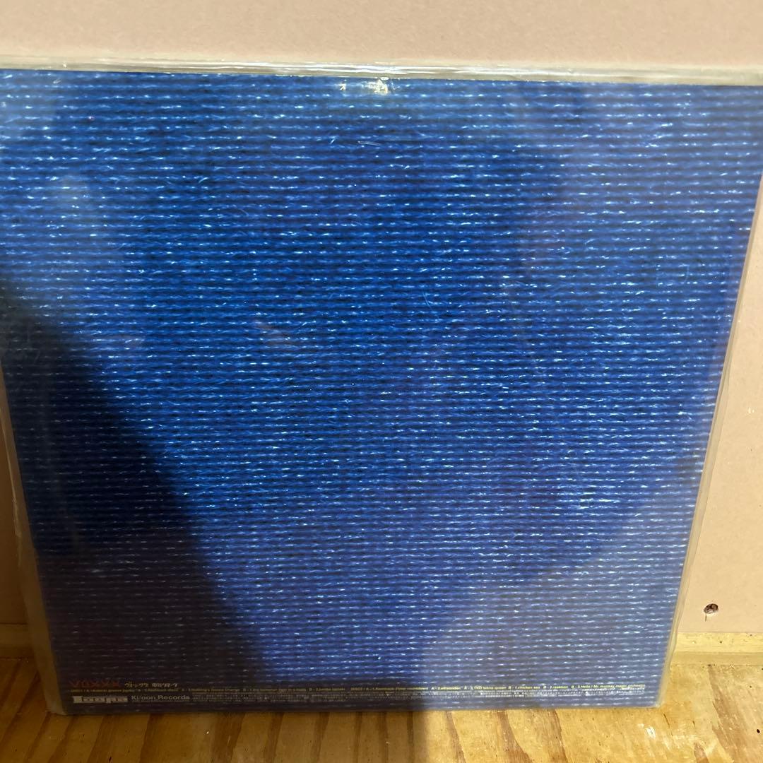 電気グルーヴ voxxx LP