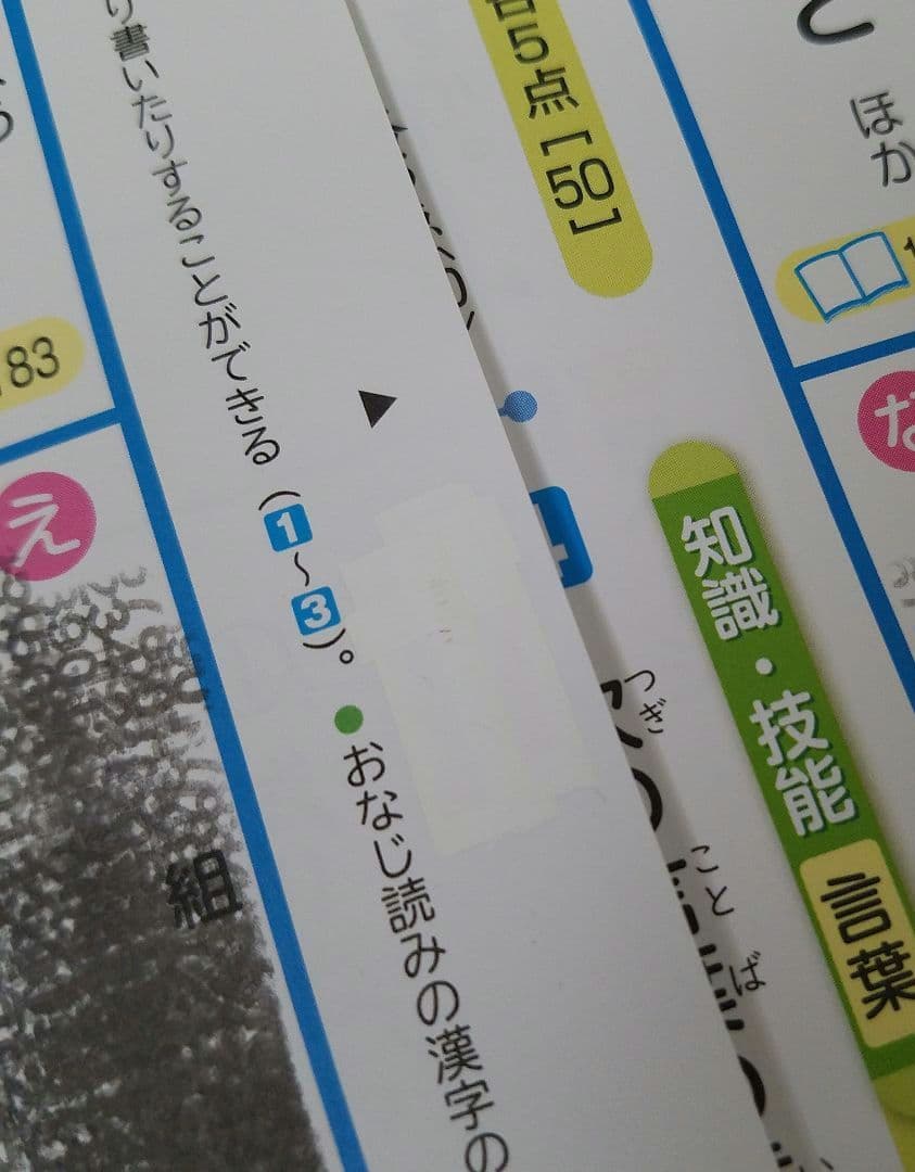カラーテスト　小５　国語　算数　理科　予習　復習　小学生　見なおしシート　５年生